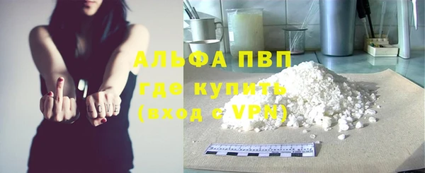 гидра Алексин