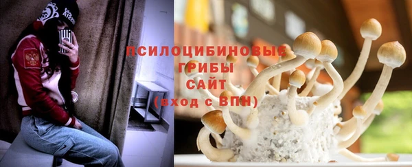 гидропоника Алзамай