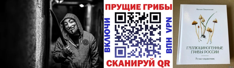 Псилоцибиновые грибы Cubensis  блэк спрут как войти  Когалым 